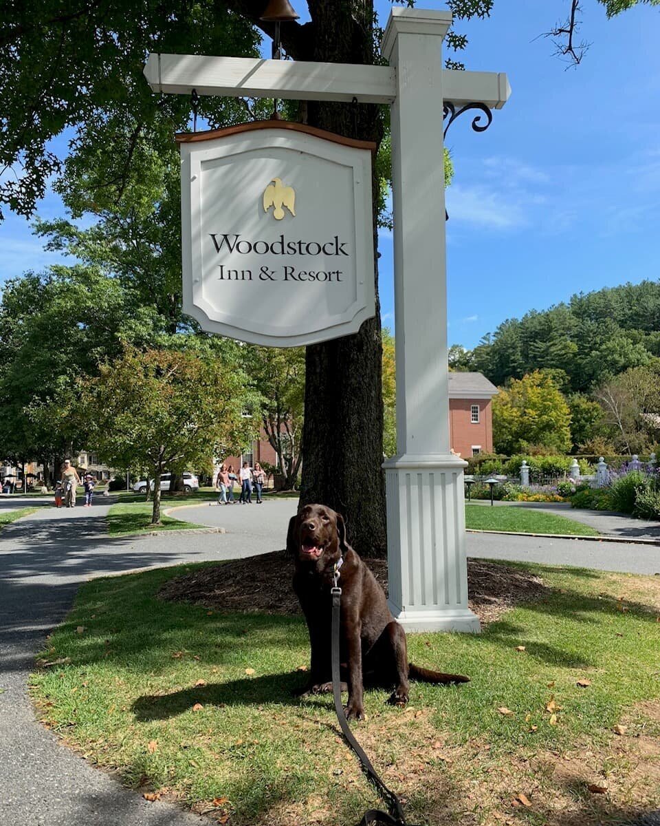 Dogs are man's best friend and adorable, but what do dogs have to do with the dog days of summer? The Best Dog Friendly Vacations In New England According To Dogs Tiny Trips