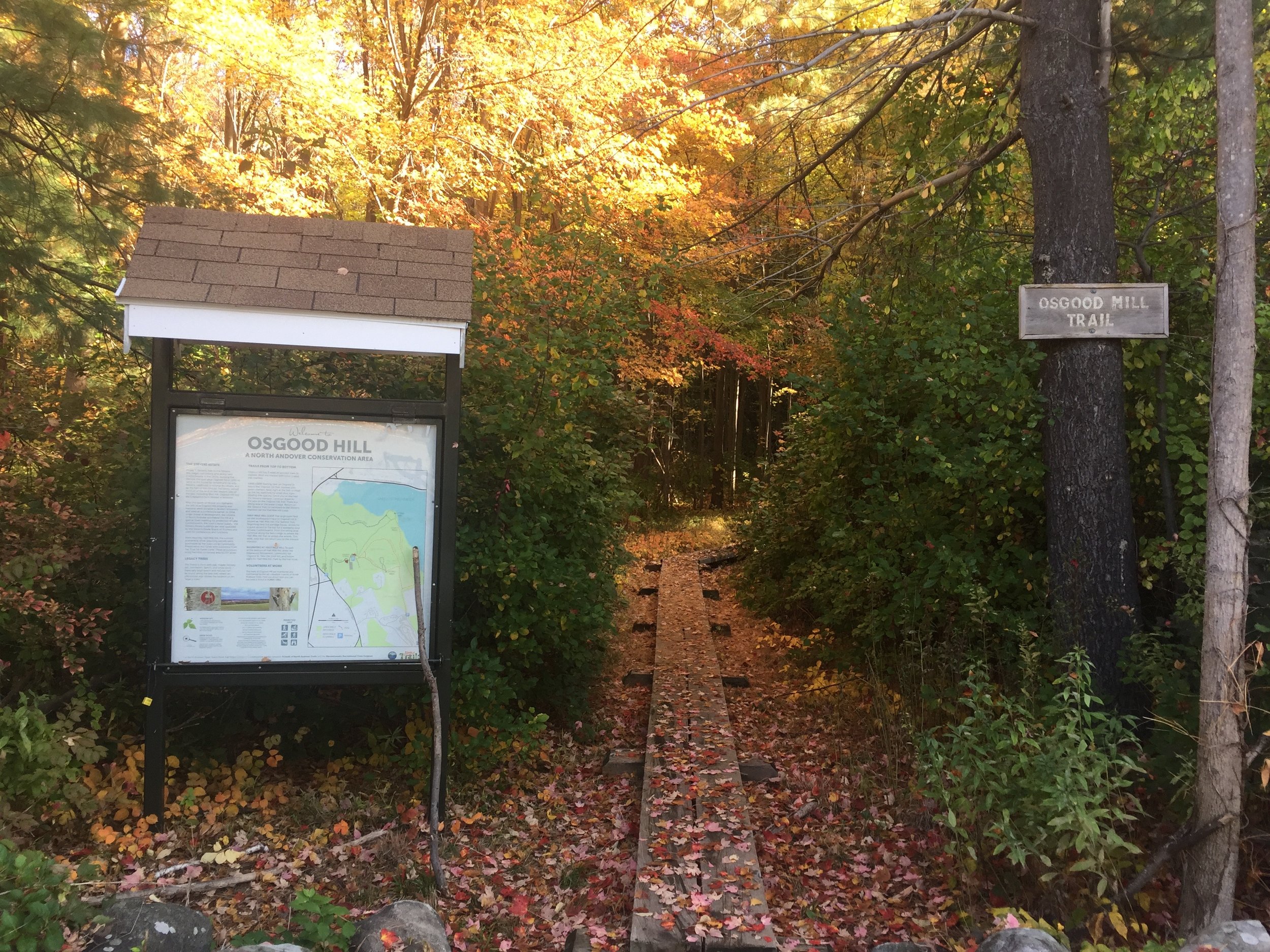 If you are planning to age in place, hiring an aide to assist with daily issues can be valuable, we created a guide to help you find the best options. Welcome Home North Andover Trails