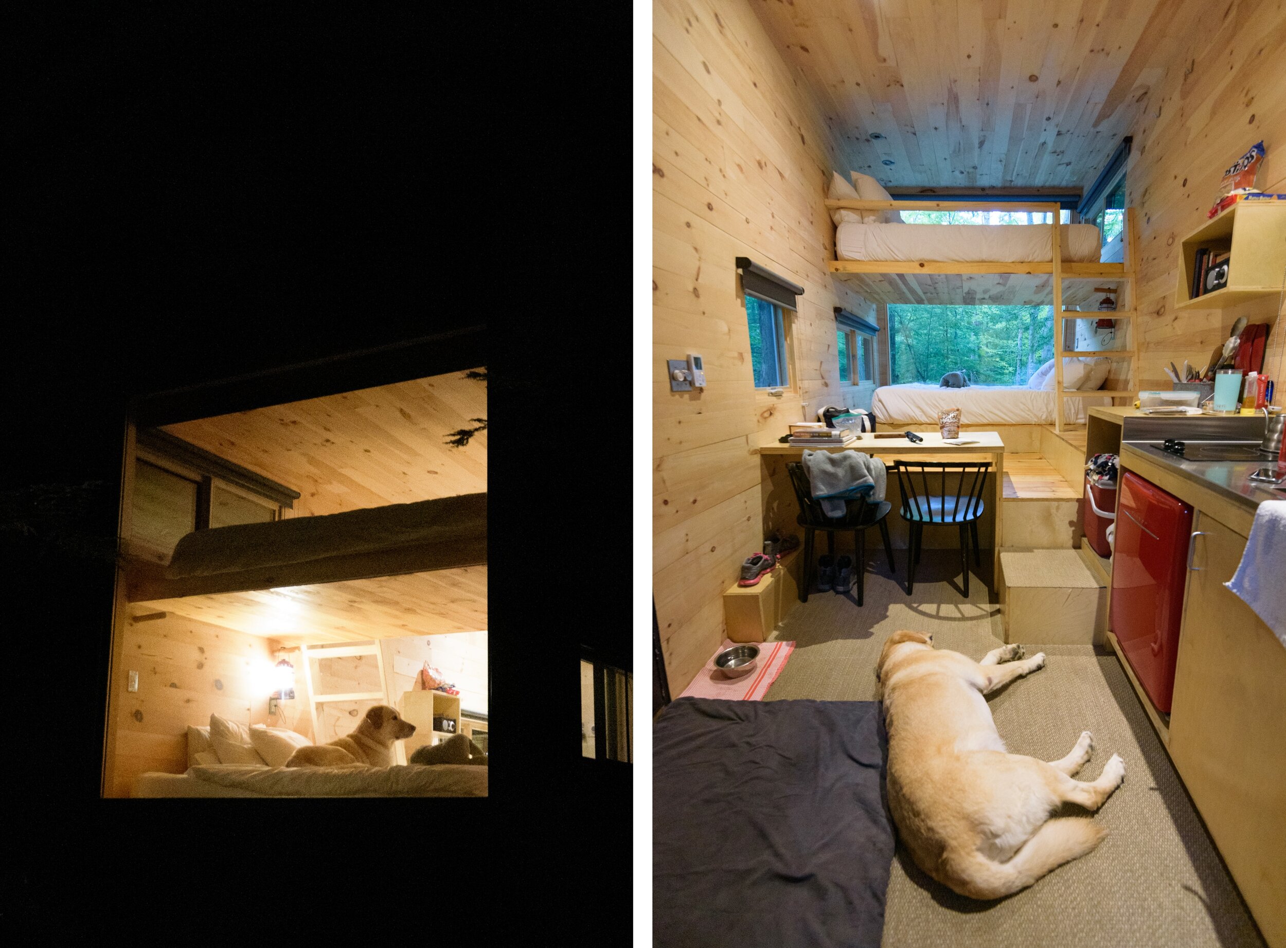 Three battery wharf boston, ma, 02109 phone: Getaway Boston Dog Friendly Tiny House Trip With Love Oats Connecticut Dog Photography