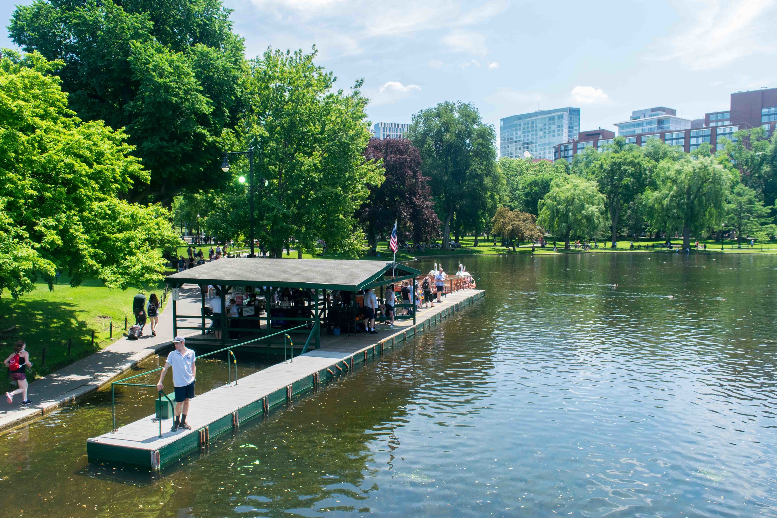 Want to avoid extra sneezing and. 10 Things You Can Not Miss In Boston Where To Next Budget Travel Tips Solo Female Travel Help Travel Guides Travel Inspiration Travel Photography