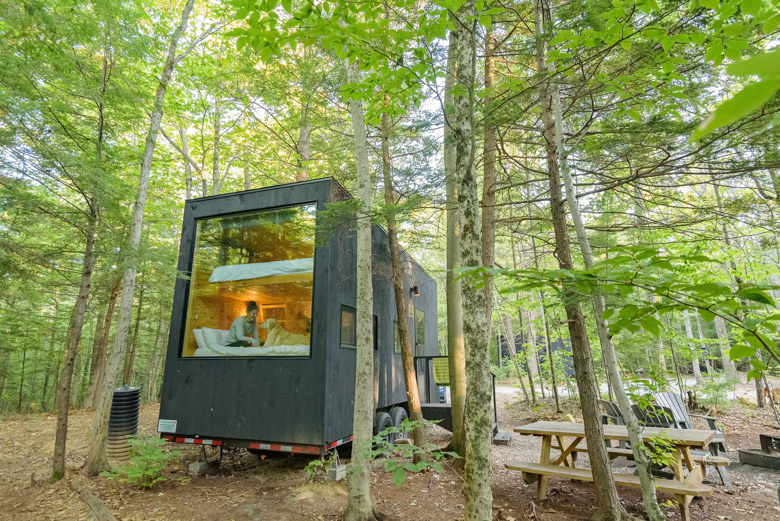 Aug 03, 2020 · cape cod is an ideal weekend getaway from boston for those who love the beach. Getaway Boston Dog Friendly Tiny House Trip With Love Oats Connecticut Dog Photography