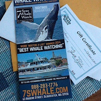 Whales Watching Boston Ma&nbsp;Package