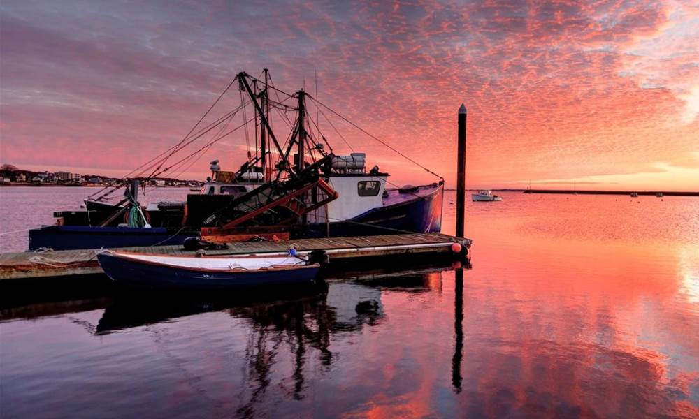 Exploring Boston Harbor Cruise To Martha's Vineyard&nbsp;Package