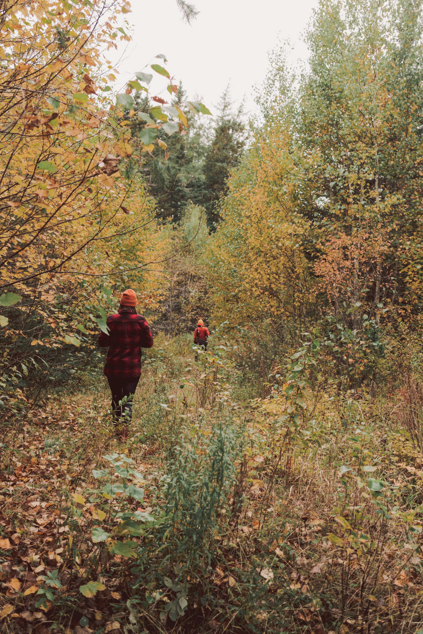 Veteran’s day is an important observance in the united states, set aside for honoring and remembering men and women who have served in the armed forces. Ultimate Guide To Planning A Trip To Maine In The Fall In Between Pictures