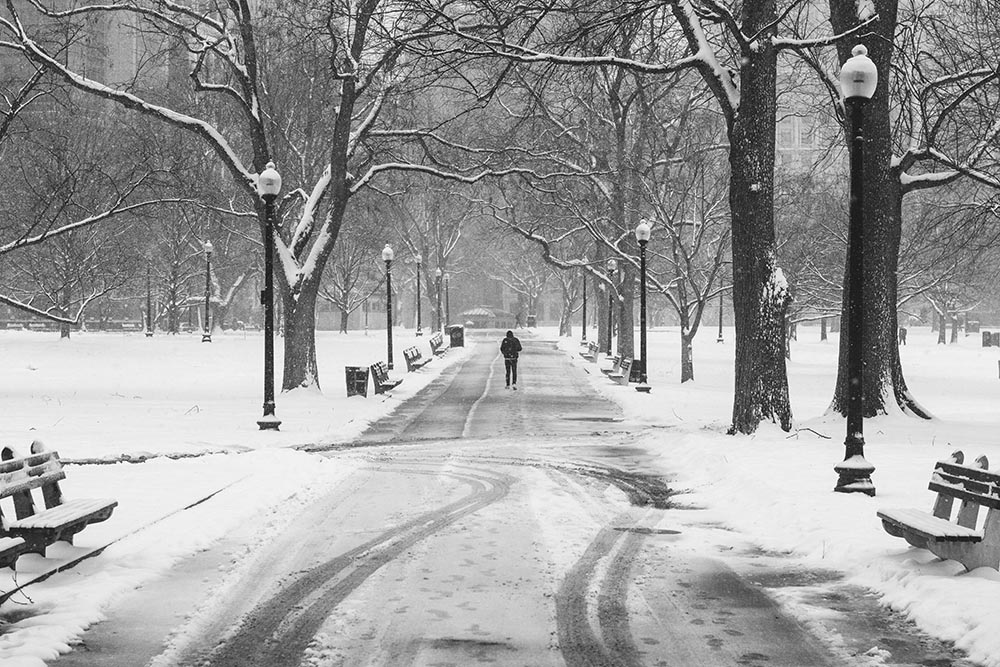 Best Things To Do In The Winter In Boston Packages