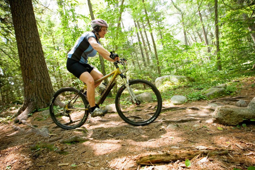 10+ Bike Trail In Boston Ma Package