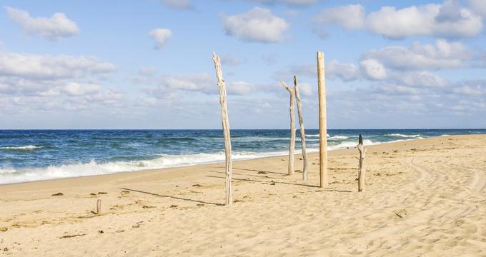 12+ Day Trip To Cape Cod From Boston&nbsp;Package