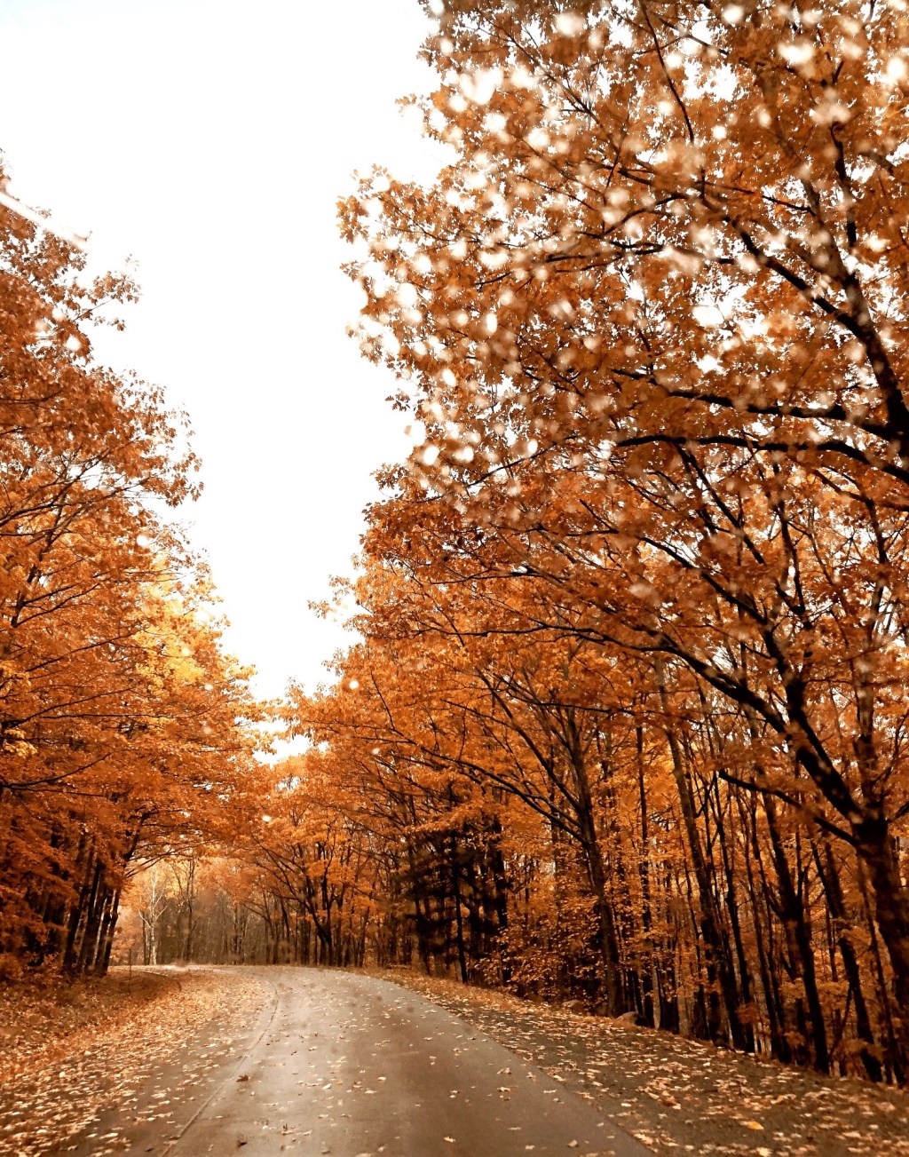 44+ Scenic Drive From Boston To Acadia National Park