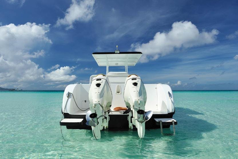 33+ Codzilla Boston Harbor&nbsp;Cruises