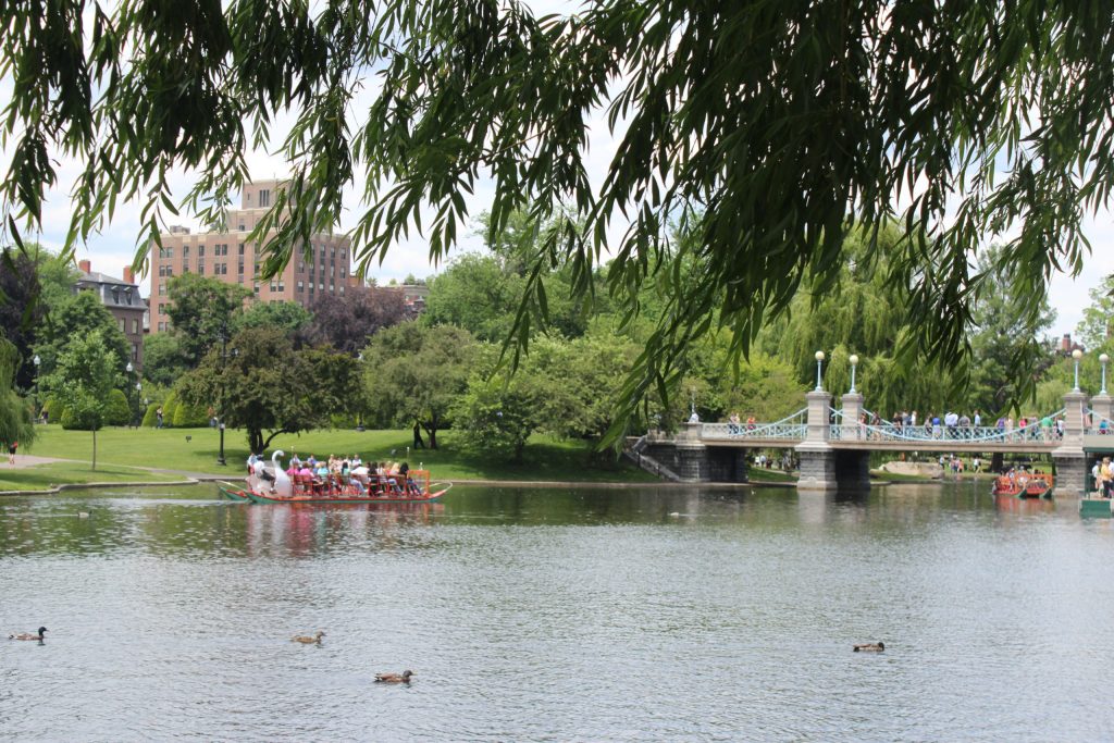 Amazing Where Does The Freedom Trail Start In Boston&nbsp;Commons