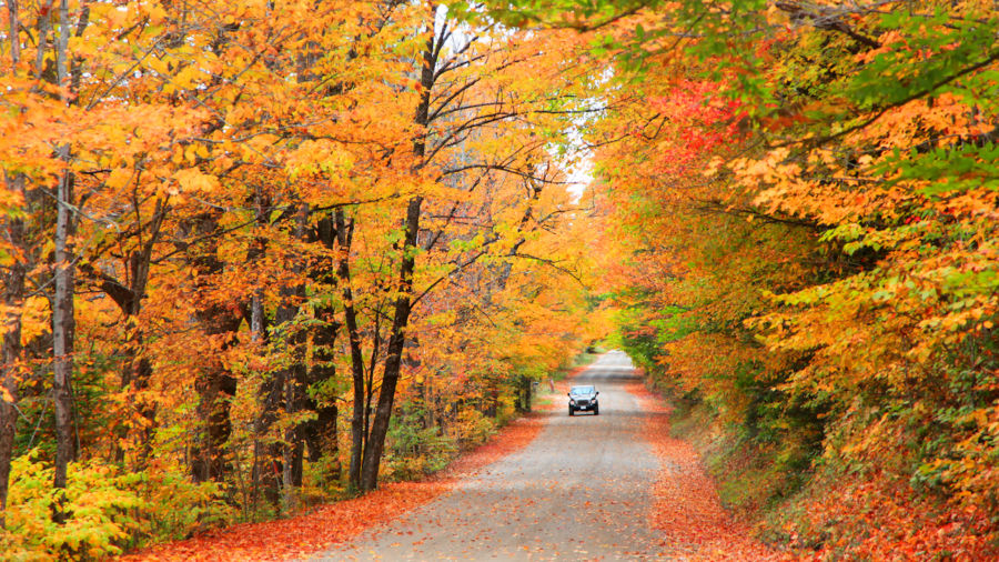 Exploring Boston To Acadia National Park Road Trip&nbsp;Packages