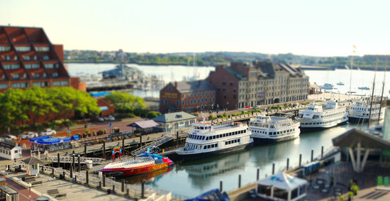 Best Boston Harbor Cruises&nbsp;Departure