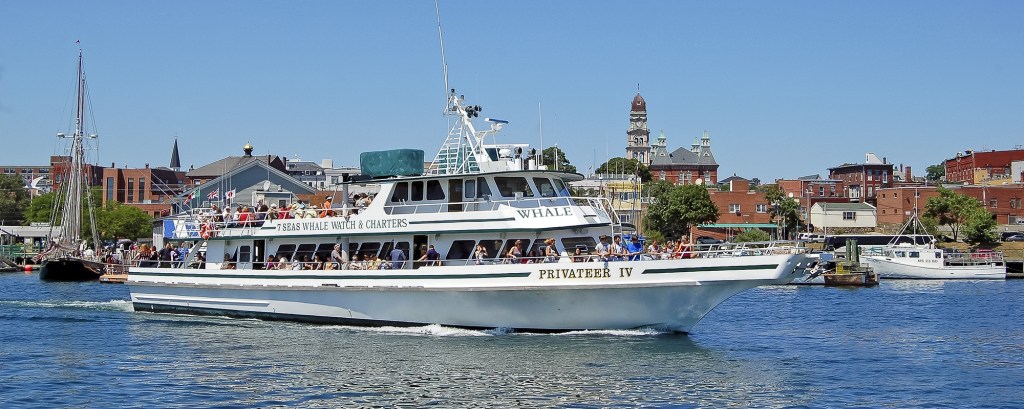 Exploring Whale Watching Boston Package