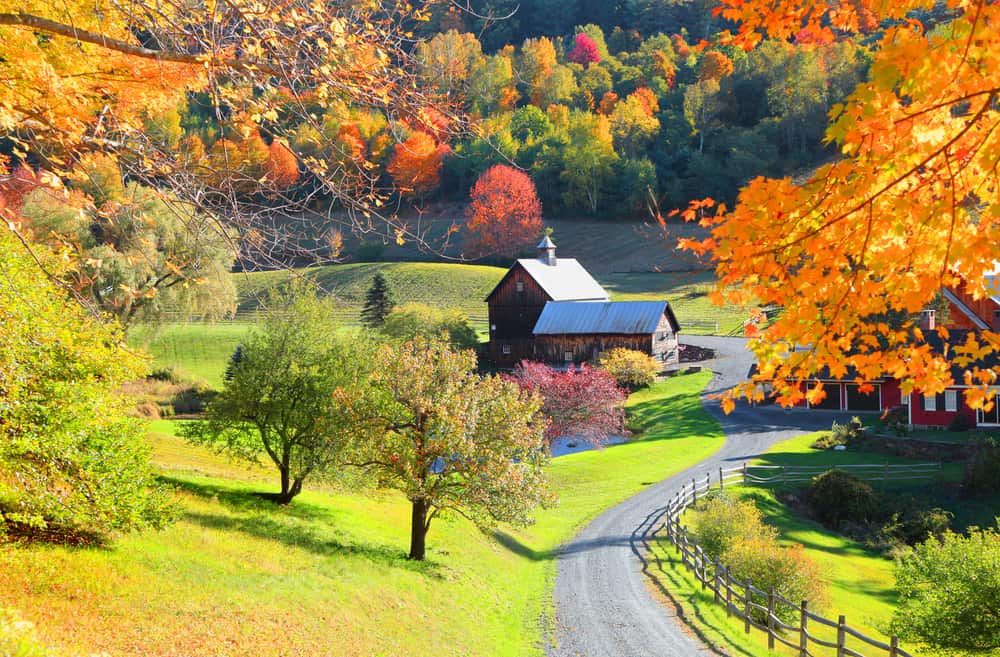 33+ Foliage Day Trips From Boston&nbsp;Packages