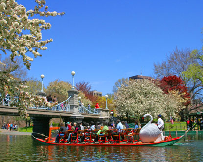 Amazing Day Trips Near Boston Ma&nbsp;Packages